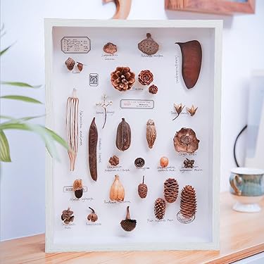 【値下げ交渉歓迎！】ライトアップできるアクリル飾り棚　落下防止ストッパー付き 値下げ交渉歓迎！】ライトアップできるアクリル飾り棚 落下防止